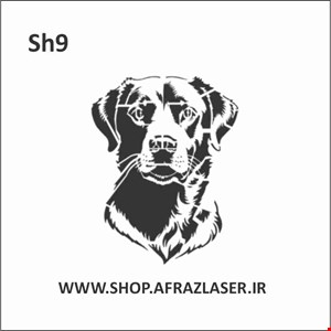 SH9