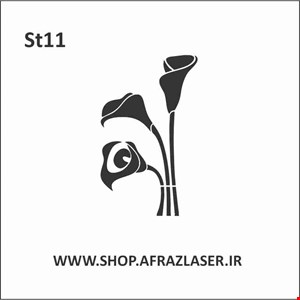 ST11