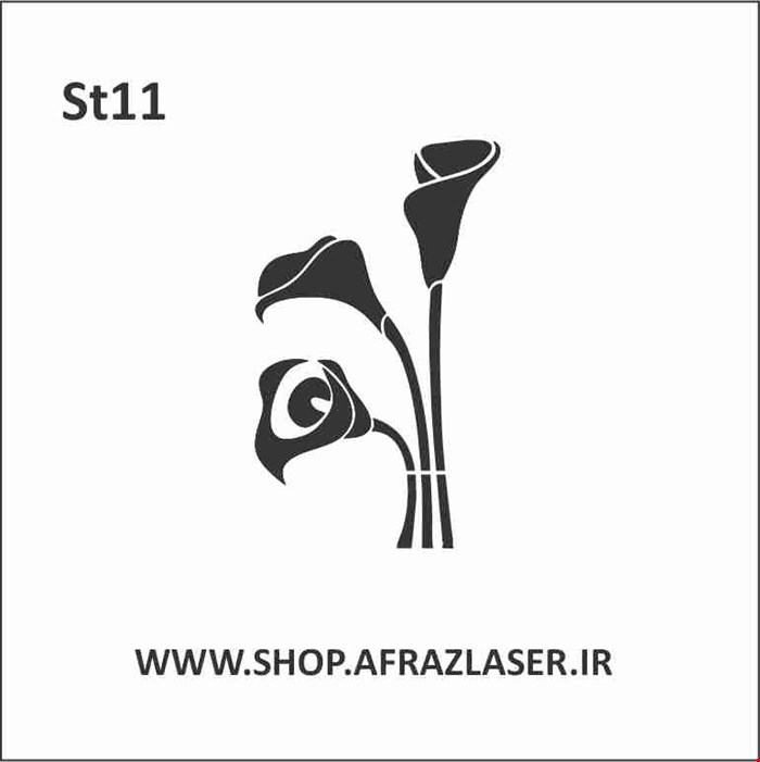 ST11