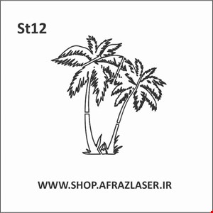 ST12