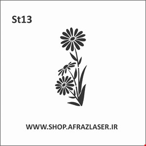 ST13