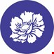 شابلون طبیعت